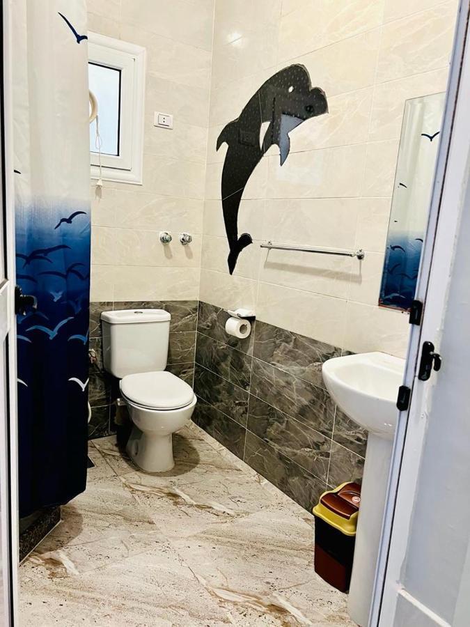 Dolphin Hotel 紅海 エクステリア 写真